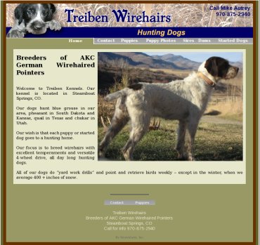 Sample of Treiben Wirehairs